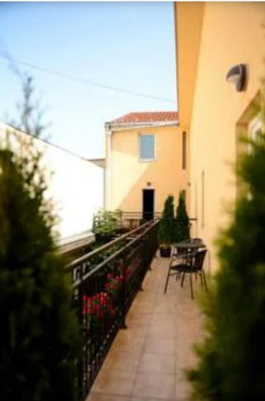 Centar Novi Sad-Apartman No 1 Eksteriør billede